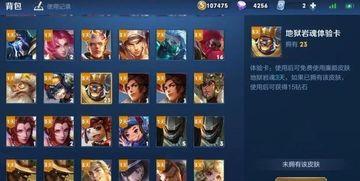 王者最新皮服爆料消息,全新皮服爆料，神秘英雄华丽登场！  第3张