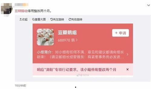 西瓜条八卦爆料视频,揭秘热门视频背后的惊人真相